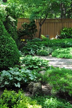 a garden with lots of green plants and trees