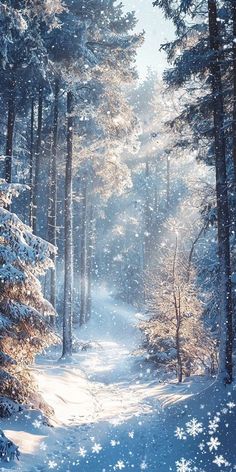 the sun shines through the trees and snowflakes on the ground in this snowy forest