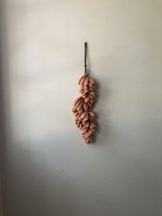 a bunch of grapes hanging from a hook on the wall next to a white wall