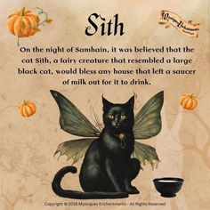 Cat Spells Witches, Magical Cat Art, Samhain Halloween, Curated Content