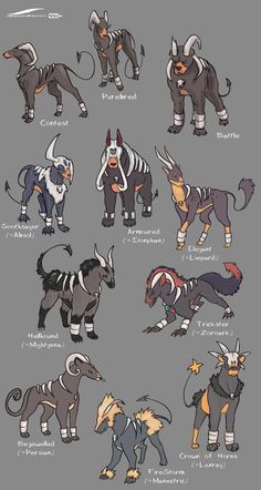 the different types of animals that can be seen in this video game character concept, character art