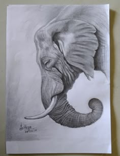 an elephant's head is shown in this drawing