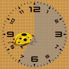 a ladybug sitting on top of a clock face with numbers in the background