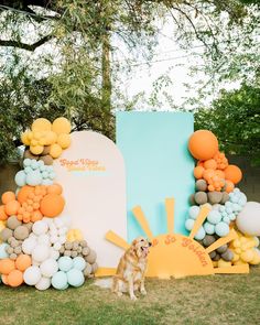 a dog is standing in front of balloons