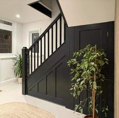 a living room with a plant in the corner and a stair case on the other side