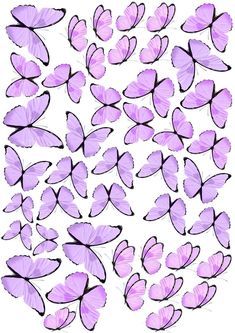 a bunch of purple butterflies flying in the air with their wings spread out to form a circle