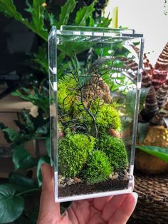 a hand holding up a small glass box with moss and rocks in it on top of a table