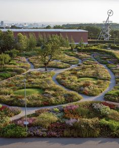 a circular garden in the middle of a park