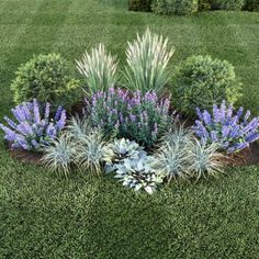 a garden filled with lots of purple and white flowers