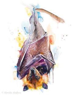 a painting of a bat hanging upside down