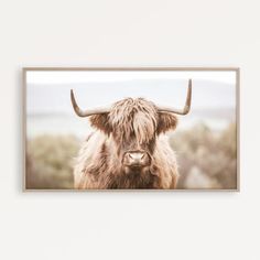 a brown cow with long horns standing on top of a wooden floor next to a white wall