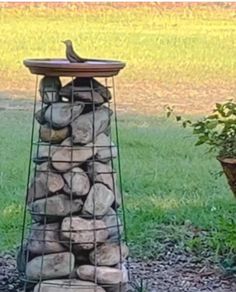 a bird is perched on top of a wire feeder made out of wood and rocks