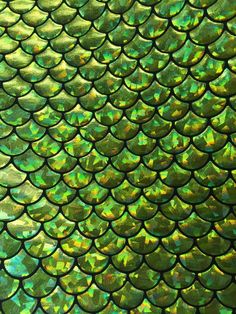 the scales of a fish's tail in green and gold foil, with iridescent colors