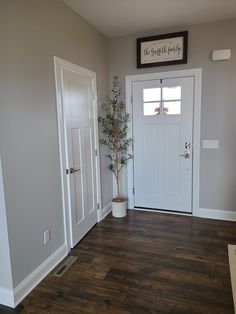 an empty room with two white doors and a potted plant on the floor next to it