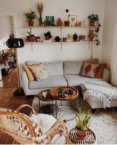 a living room filled with furniture and potted plants on top of the shelves above