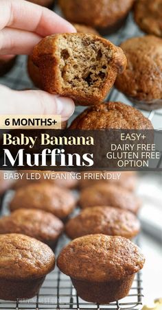 baby banana muffins on a cooling rack with text overlay