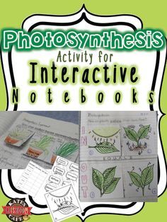 an interactive notebook with photos and text that reads photosynthess activity for interactive notebooks