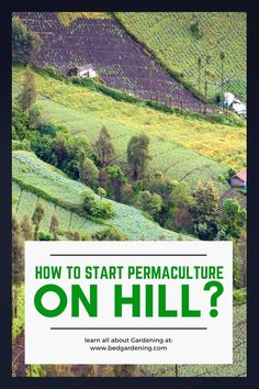 the cover of how to start permaculture on hill?