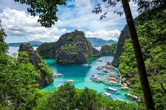 many boats are docked in the water near some rocks and trees, surrounded by greenery