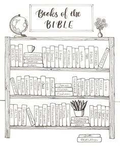 a book shelf with books on it and the words books of the bible above it