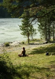 a person sitting on the grass near some trees and water with a dog looking at them