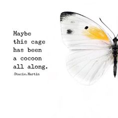 a white and yellow butterfly with a quote from stoica martinian about maybe this cage has been a cocoon all along