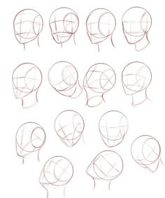 a bunch of different types of head shapes