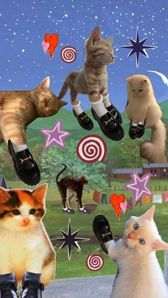 several cats and kittens are standing in front of an image with stars, circles, and hearts