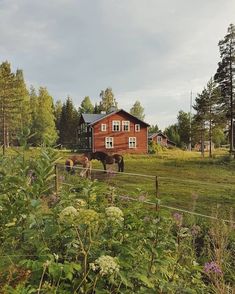 two horses are standing in the grass near a red house with white windows and doors