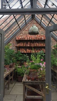 the inside of a greenhouse with potted plants