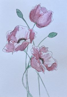 three pink flowers on a white background with green stems and leaves in the center, watercolor