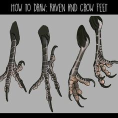 an image of how to draw raven and crow feet in adobe file format, with text overlay