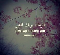 an image with the words time will teach you in english and arabic, against a background of pink flowers