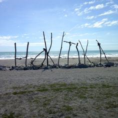 there are many sticks sticking out of the sand