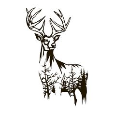 a black and white drawing of a deer