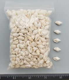 a plastic bag filled with white mushrooms next to a ruler