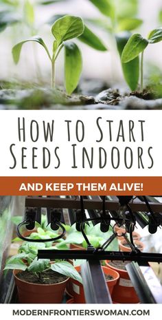 how to start seeding indoors and keep them alive in the garden with text overlay that reads, how to start seeds indoors and keep them alive