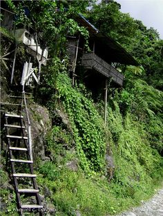 an old wooden house on the side of a hill covered in vines and ivys