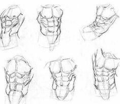 sketches of the muscles and their functions in an arm, head, chest, leg