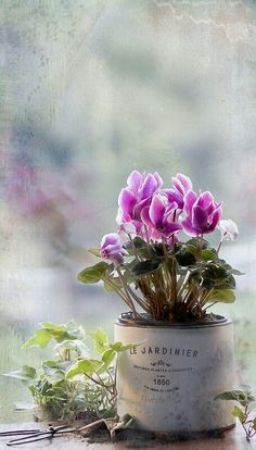 flowers in a jar with the words bevenuta felbriaia on it