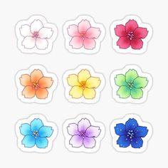 six different colored flowers sticker