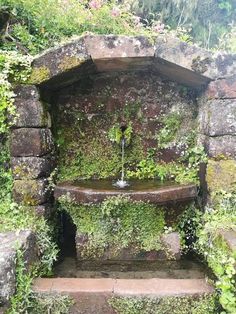 an outdoor fountain with moss growing on the sides and steps leading up to it, surrounded by greenery