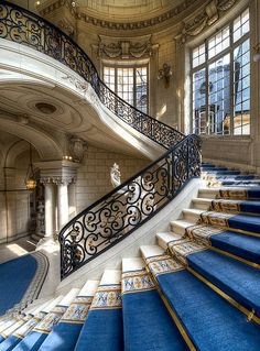 an image of a staircase with blue carpet