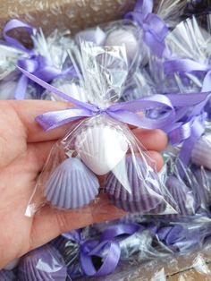 a hand is holding some seashells wrapped in cellophane and tied with a purple ribbon