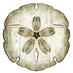 an image of a sand dollar sign with flowers on it