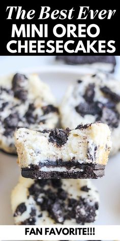 the best ever mini oreo cheesecakes with chocolate chips