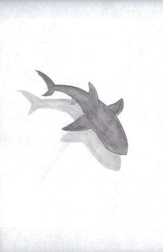 a drawing of two dolphins swimming in the water