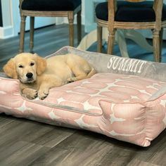 a dog laying on top of a pink bed