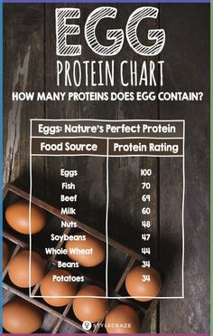 Protein Chart, Cabbage Benefits, Egg Protein, Protein Pudding, Valentines Inspiration, Women Health Care, Mango Recipes, Lack Of Energy, Valentines Food