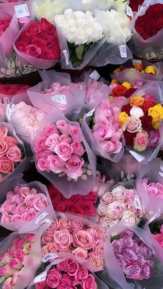 many different colored roses are on display for sale